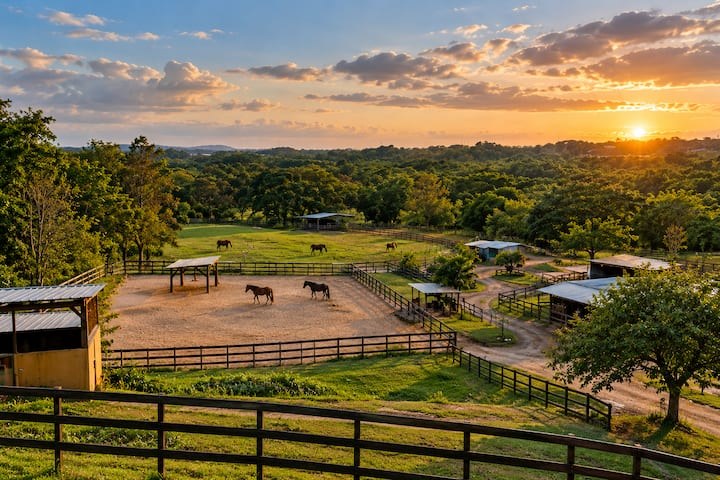 Caribbean Horse Sanctuary Retreat